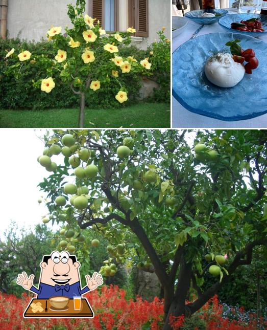 Cibo al San Domenico Palace