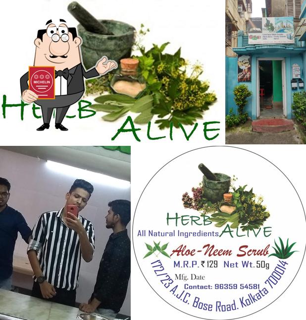 Herb Alive Cafe picture