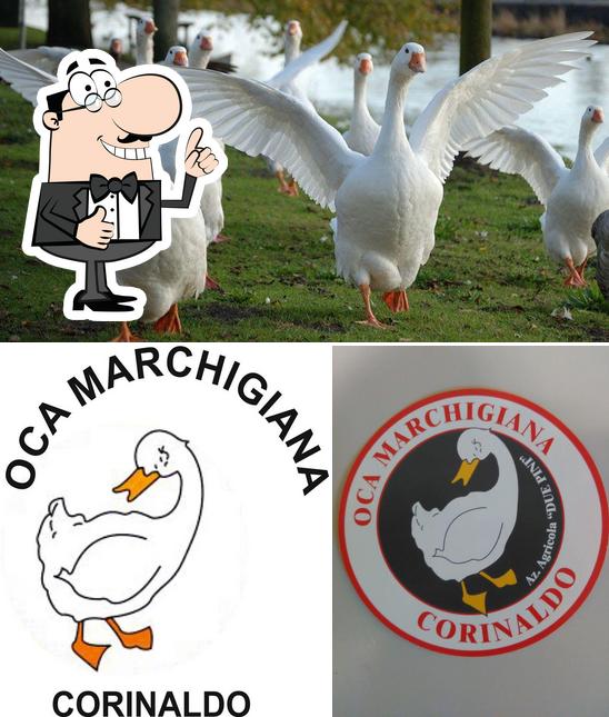 Azienda Agricola Spadoni Emanuela