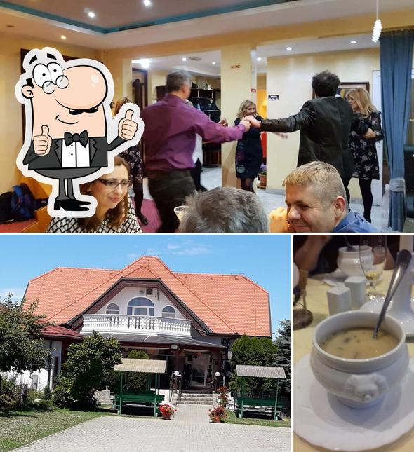 Vedi la foto di Vila ŠIFTAR