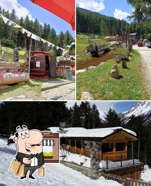 Curiosa tra l'area esterna di Rifugio Alpino Baita Motin