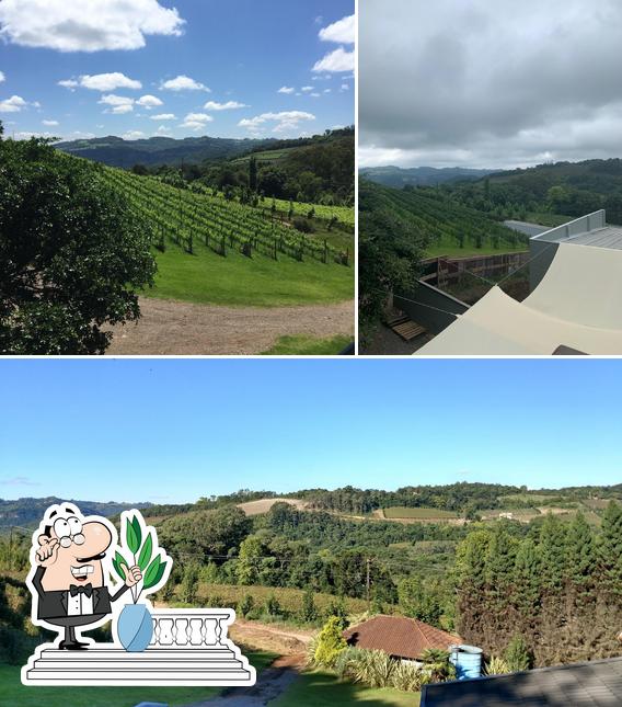 pizzato Vinhas e Vinhos