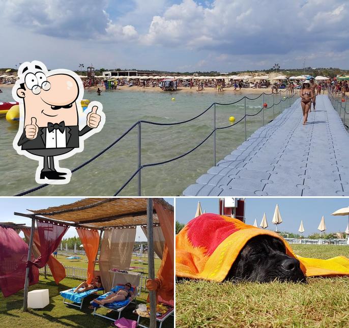 Ecco un'immagine di AGRI BEACH eden Salento
