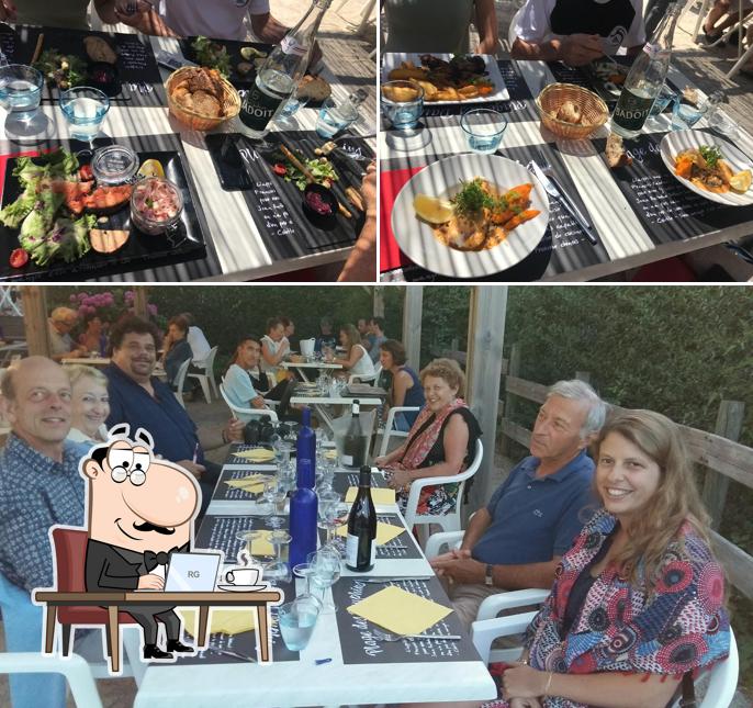Les Dauphins