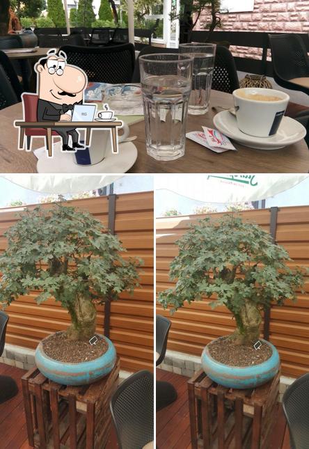 Gli interni di Cafe COCKTAIL