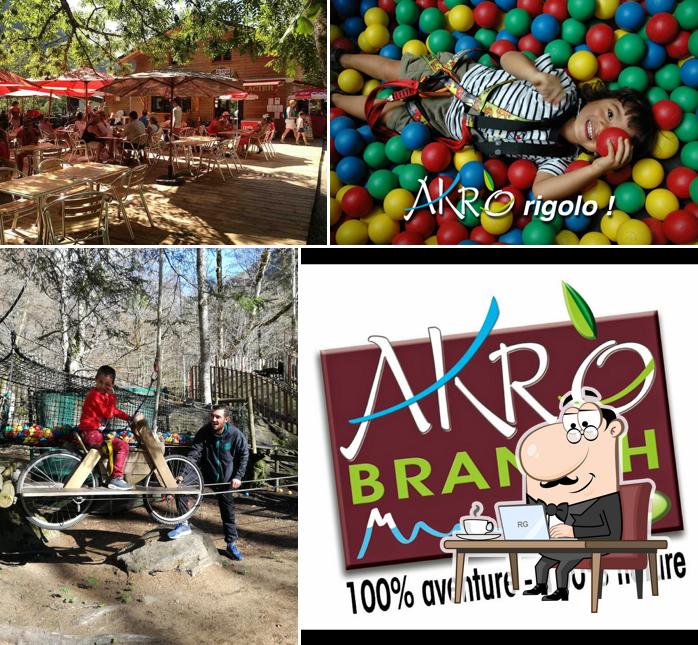 Parc AKROBRANCH d’Orlu