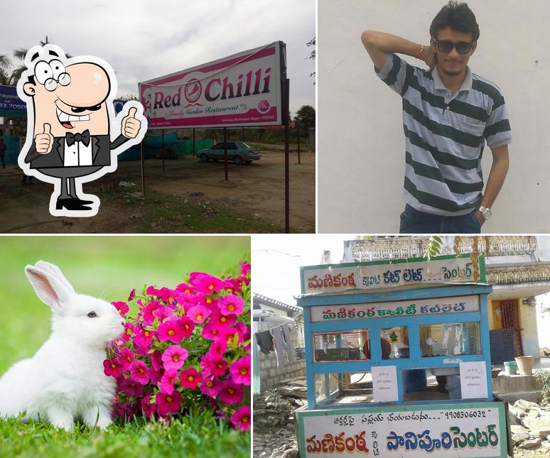 Red Chilli Restaurant