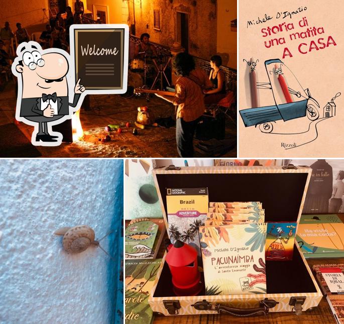 Il Vicolo Vineria & Libreria