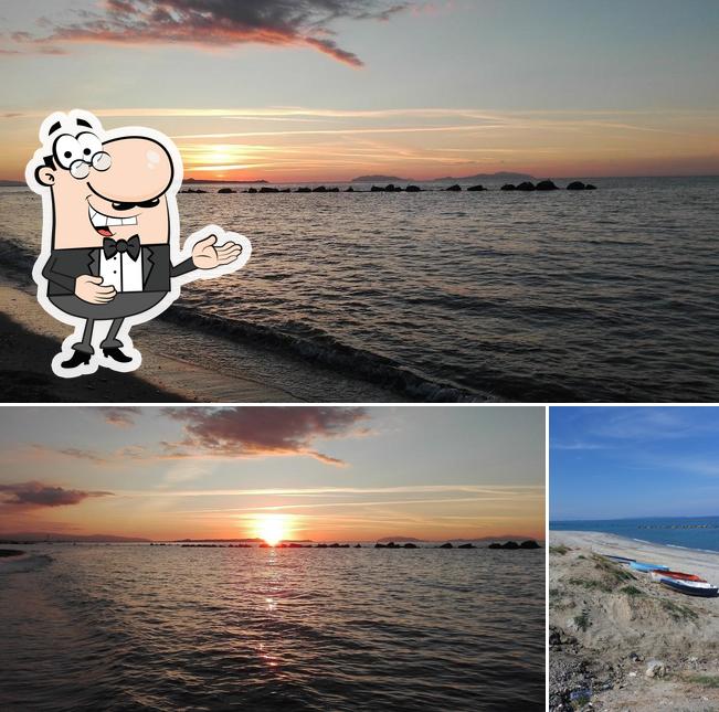 Guarda la immagine di Lido Il Paguro