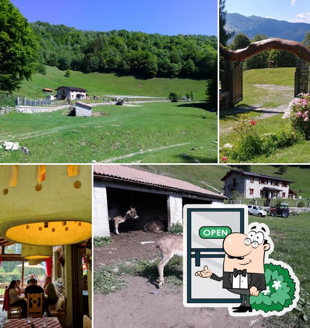 Guarda gli esterni di Le Radici Agriturismo