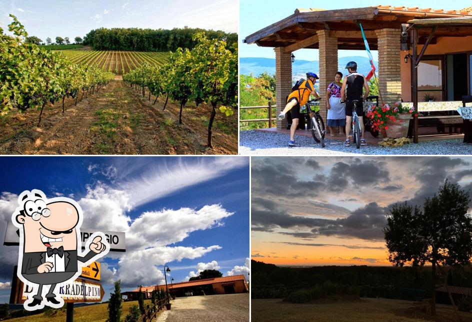 La Serra del Pino - Agricampeggio