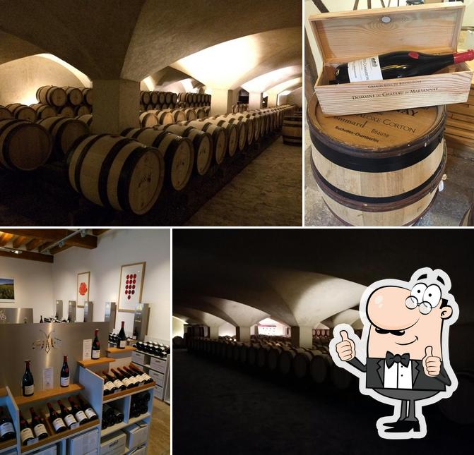 Chateau de Marsannay