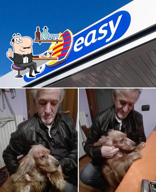 Gli interni di Q8easy