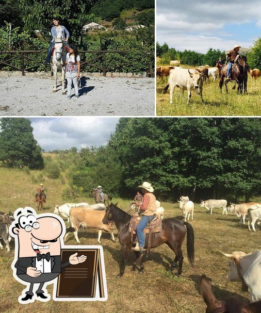 Gli esterni di Agriturismo I Sapori della Terra