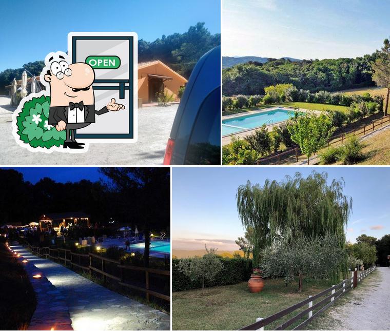 Agriturismo Erba di campo