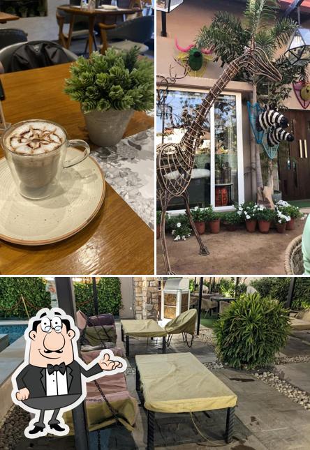 Check out how Café White Sage looks inside