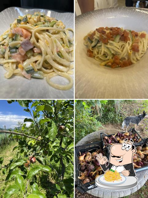 Agriturismo ORTO Az. Agricola