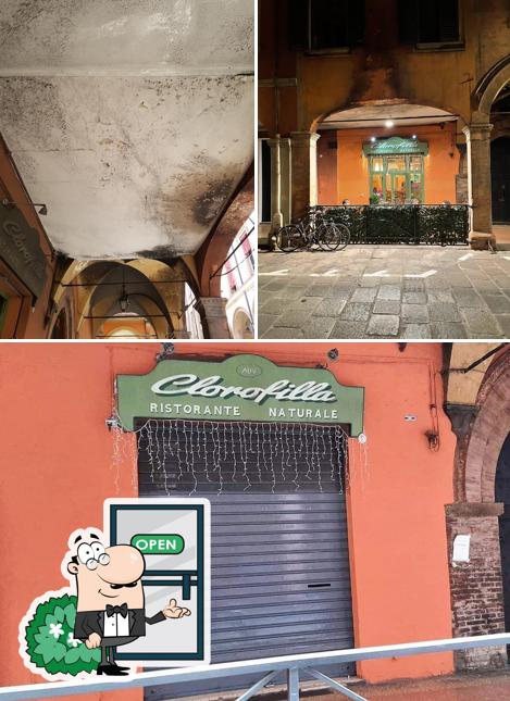 Gli esterni di Clorofilla