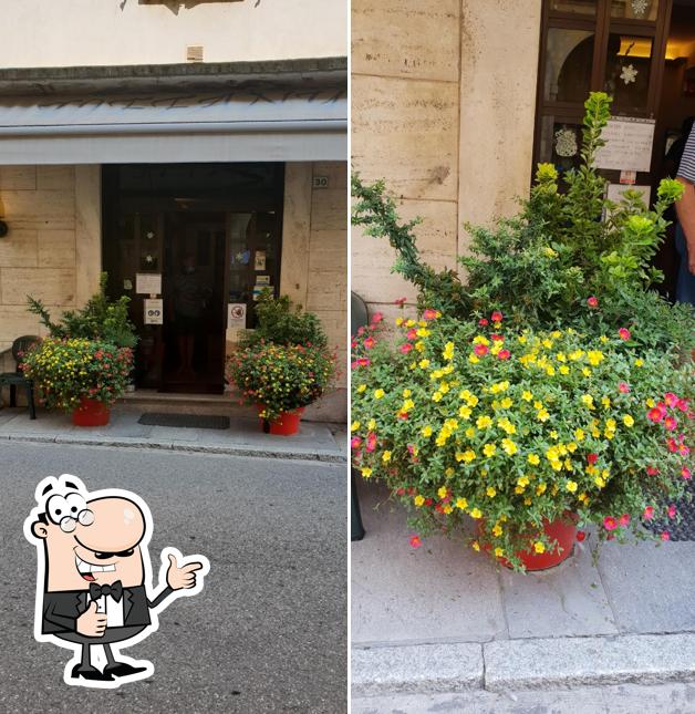 Bar Tiffany Di Ana Hanceanu