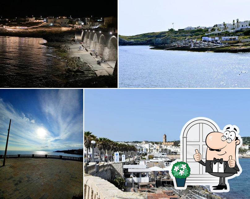 Chiosco Bar "Buena Vista"