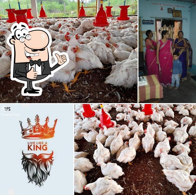 NEW CHICKEN CENTER