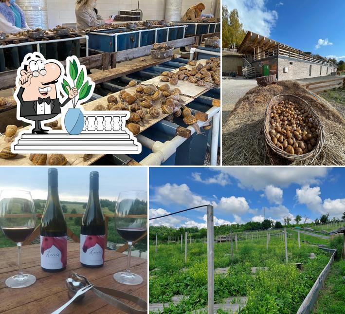 Равликова ферма "Джиффі"/ Jiffy Farm