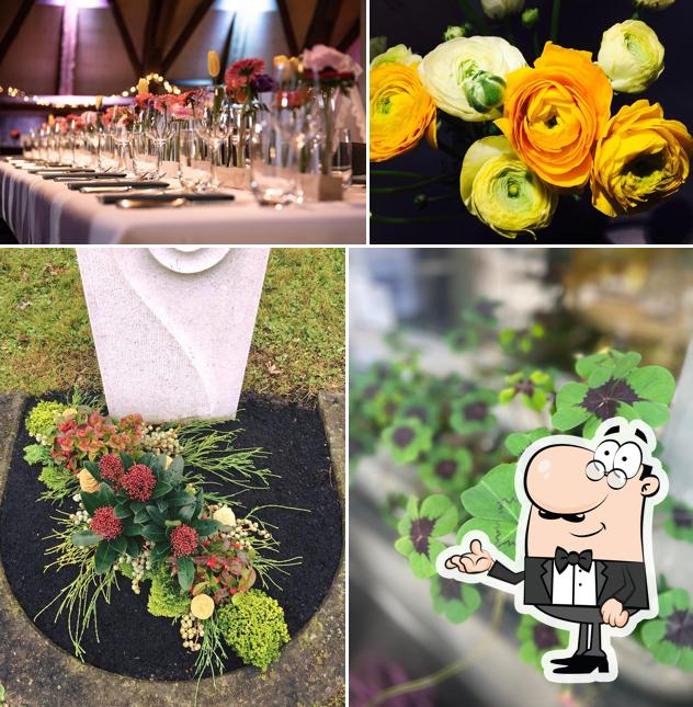Gli interni di Flowers Graf GmbH