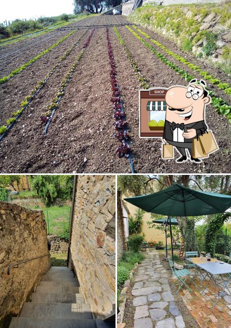 La foto di esterno e cibo da MAIBEN! Ristorante e appartamenti