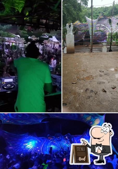 See the image of Arena The Jungle Club