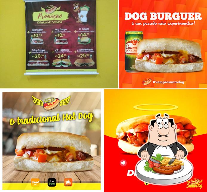 Santo Dog Delivery