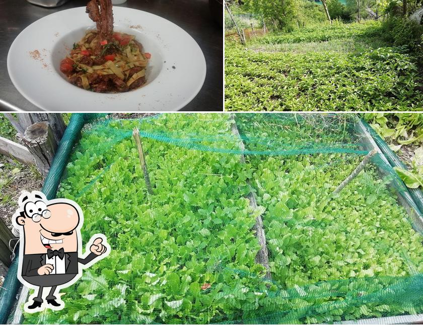La esterno e cibo del ristorante