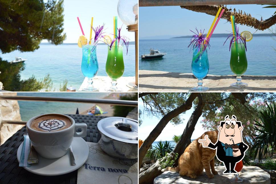 Goditi qualcosa da bere a Terra Nova - Beach & Cocktail Bar
