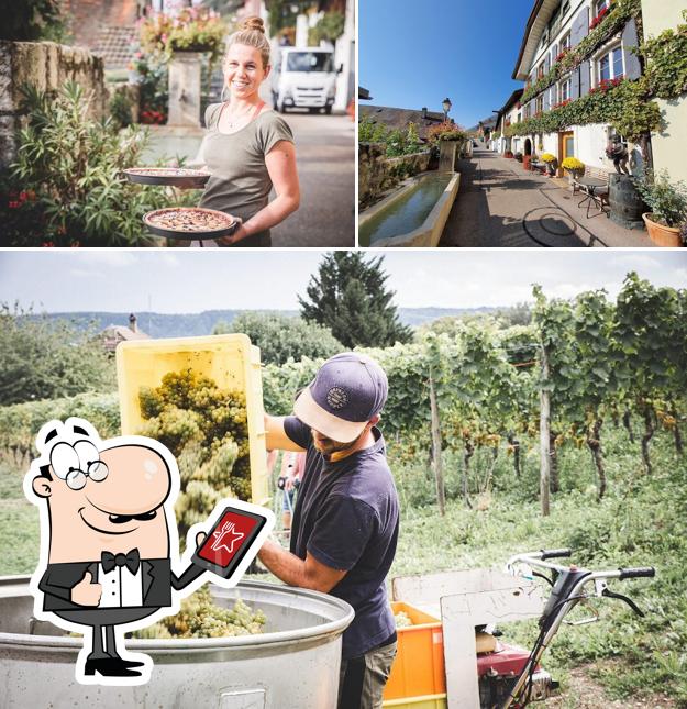 Tra le diverse cose da Weingut Andrey Schafis si possono trovare la esterno e interni