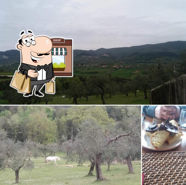 Tra le diverse cose da Agriturismo Le Colline si possono trovare la esterno e dolce