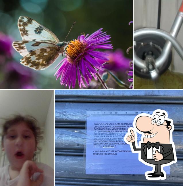 Panificio Cecconello