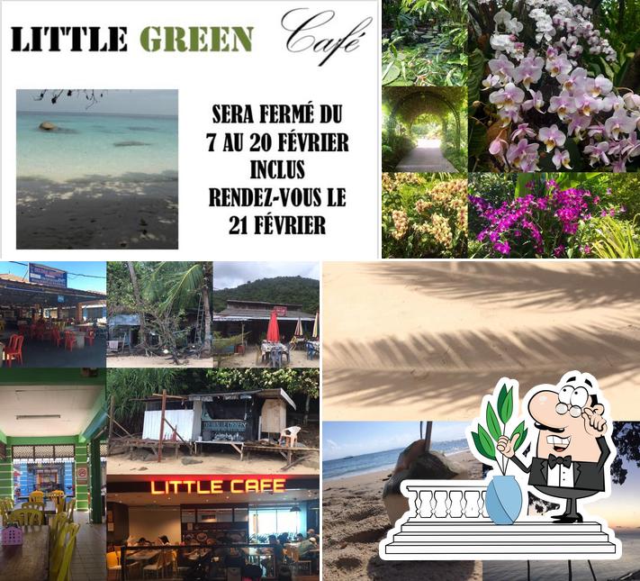 Little Green Café