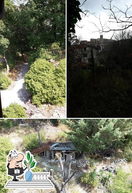 Karbar Di Canella Sonia