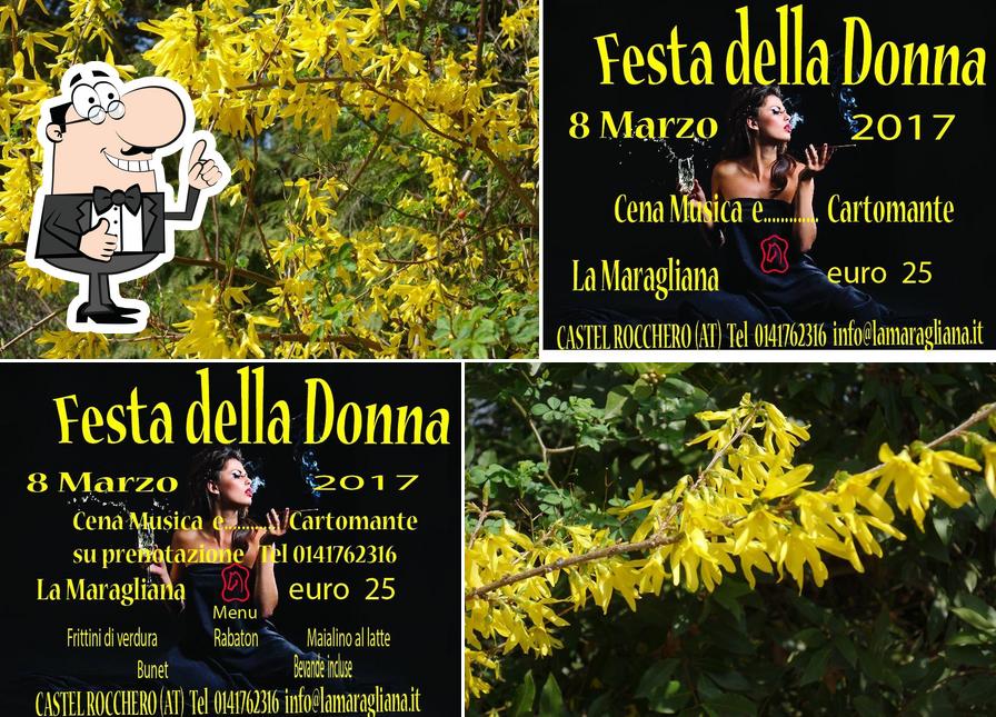 Immagine di La Maragliana Castel Rocchero