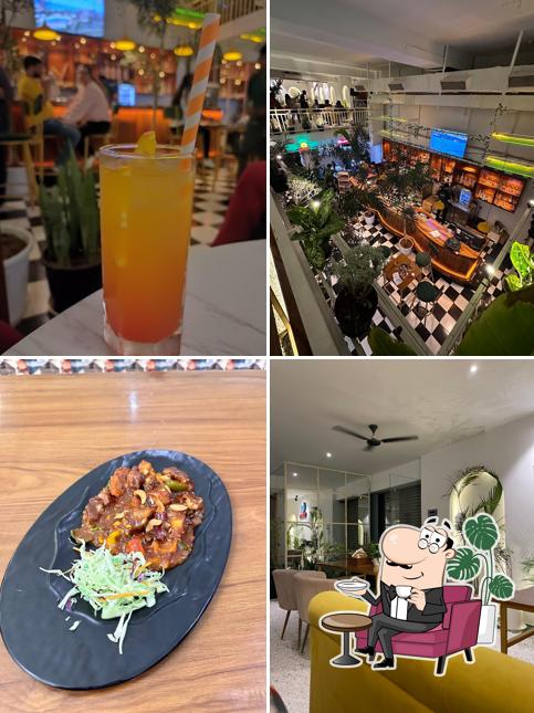 Check out how SALT - all day Brew looks inside
