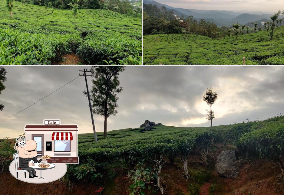 PTJ Swarna Lakshmi Tea Stall