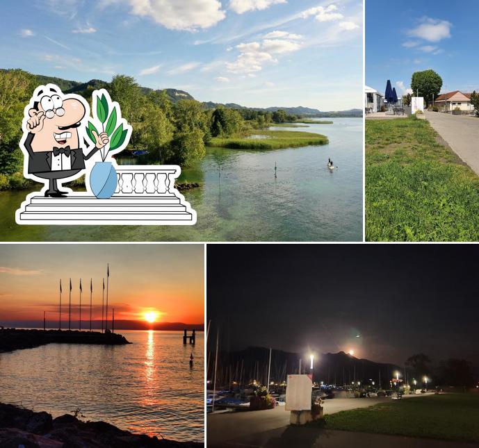 La Terrasse du Port, restaurant bar à vin