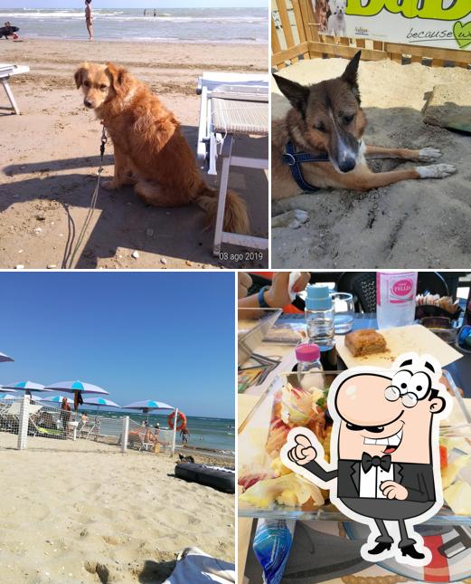 Dai un'occhiata agli interni di Islamorada - Dog Beach
