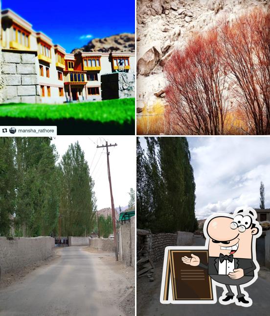 The exterior of The Driftwood Ladakh Leh