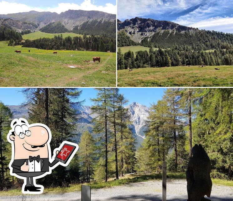 Guarda gli esterni di La Posa, Alp Champatsch