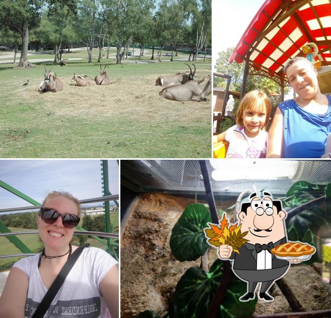 Guarda questa foto di Chiosco del Pop Corn