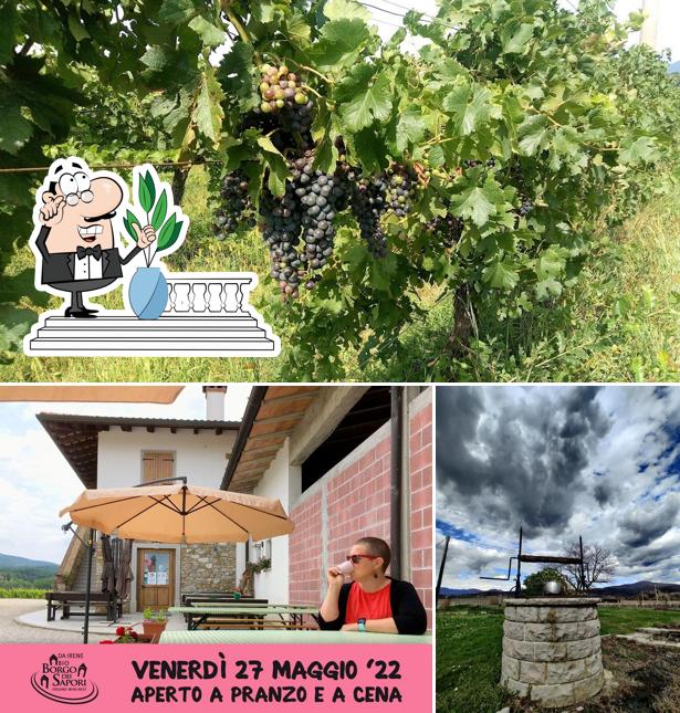 Guarda gli esterni di Borgo dei Sapori di Irene Cencig - Agriturismo e Vino Biologico