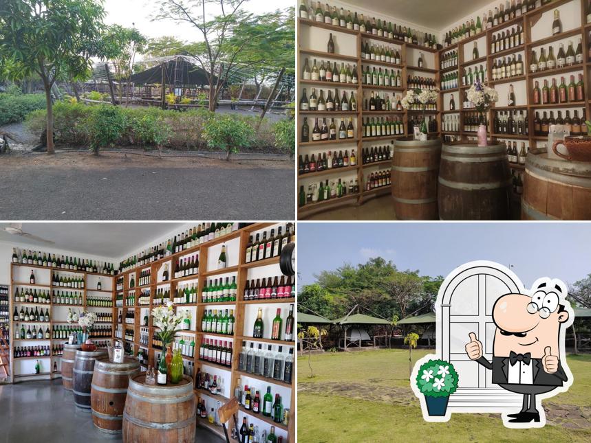 Enjoy the view at the outside area of Wine Information Center WIC, Wine Park