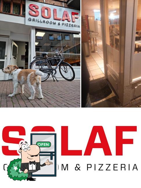 Solaf