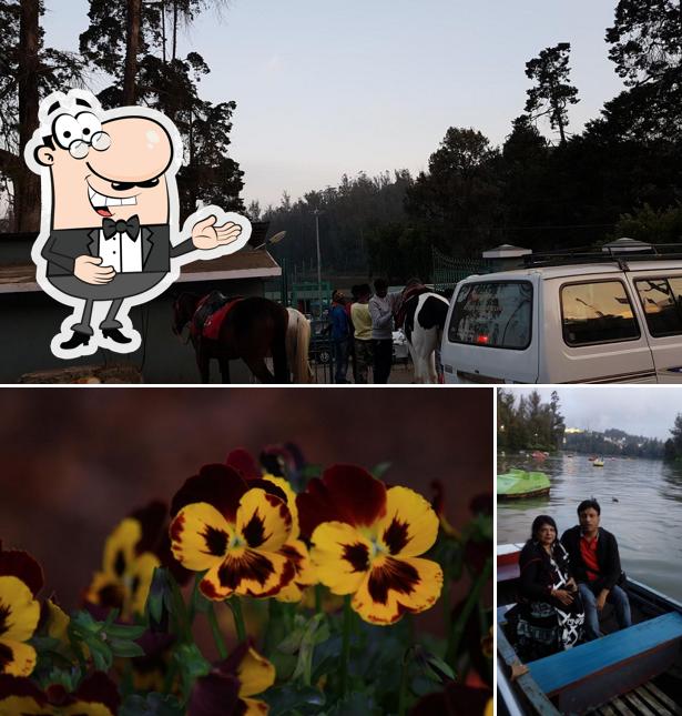 Here's an image of Ooty Lake View Restaurant