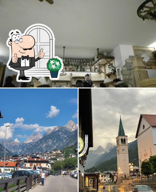 Curiosa tra l'area esterna di Bed&Breakfast Bar La Coa